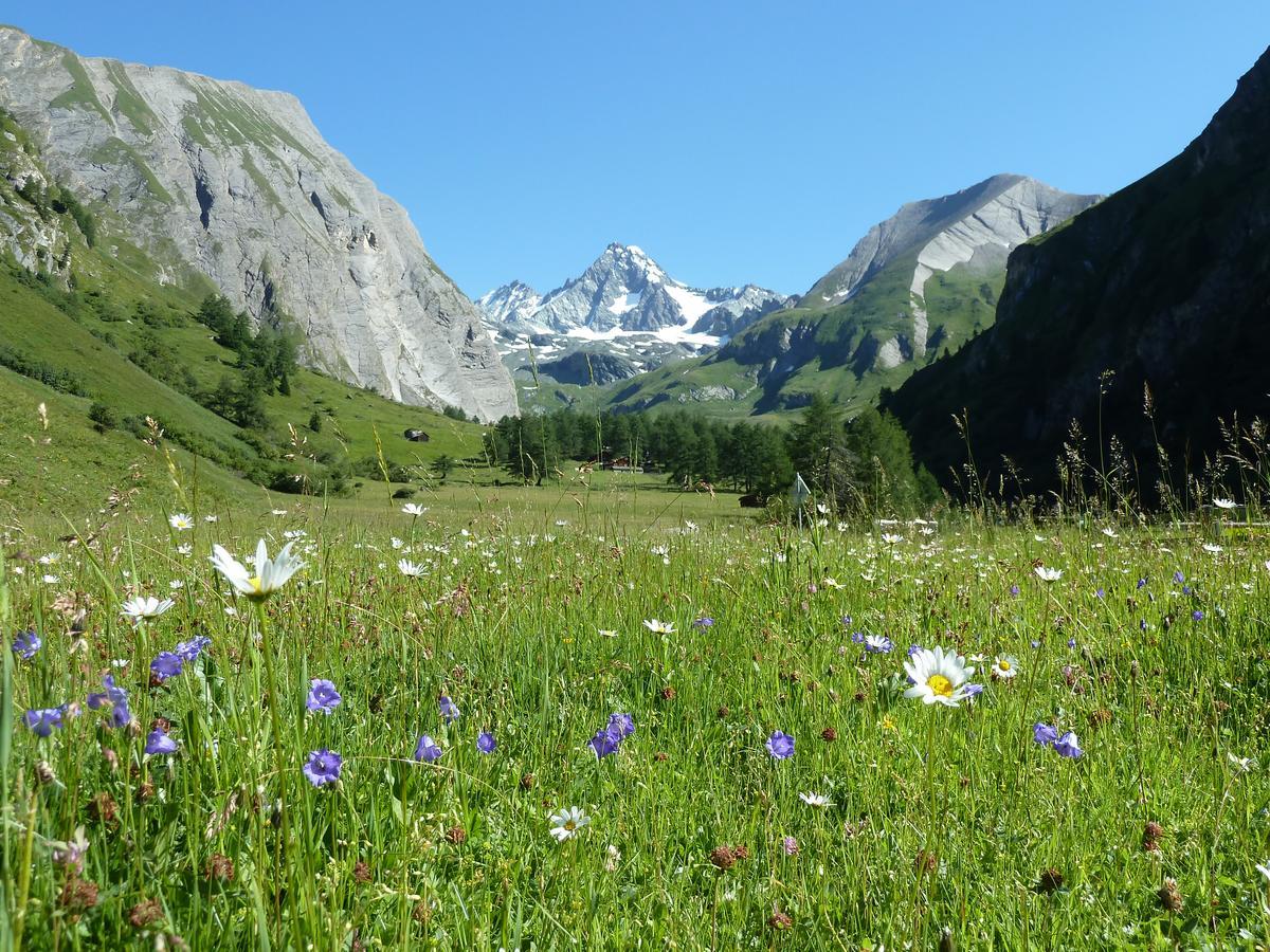 Alpengasthof Lucknerhaus Hotell Kals-am Großglockner Eksteriør bilde